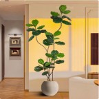 Cây cảnh giả Ficus